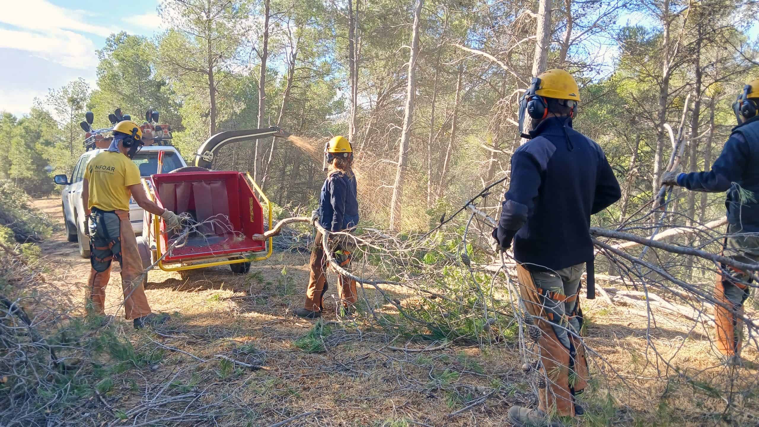 Faja de transitabilidad en Luna (Zaragoza), con eliminación de vegetación y trituración de la biomasa mediante biotrituradora.INFOAR