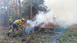 Retirada de restos forestales en Orihuela del Tremedal (Teruel) a través de quemas controladas.INFOAR