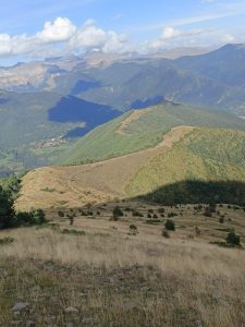 Trabajos realizados en “Yosa” en los MUP nº88 y nº95 del término municipal de Broto (Huesca).INFOAR